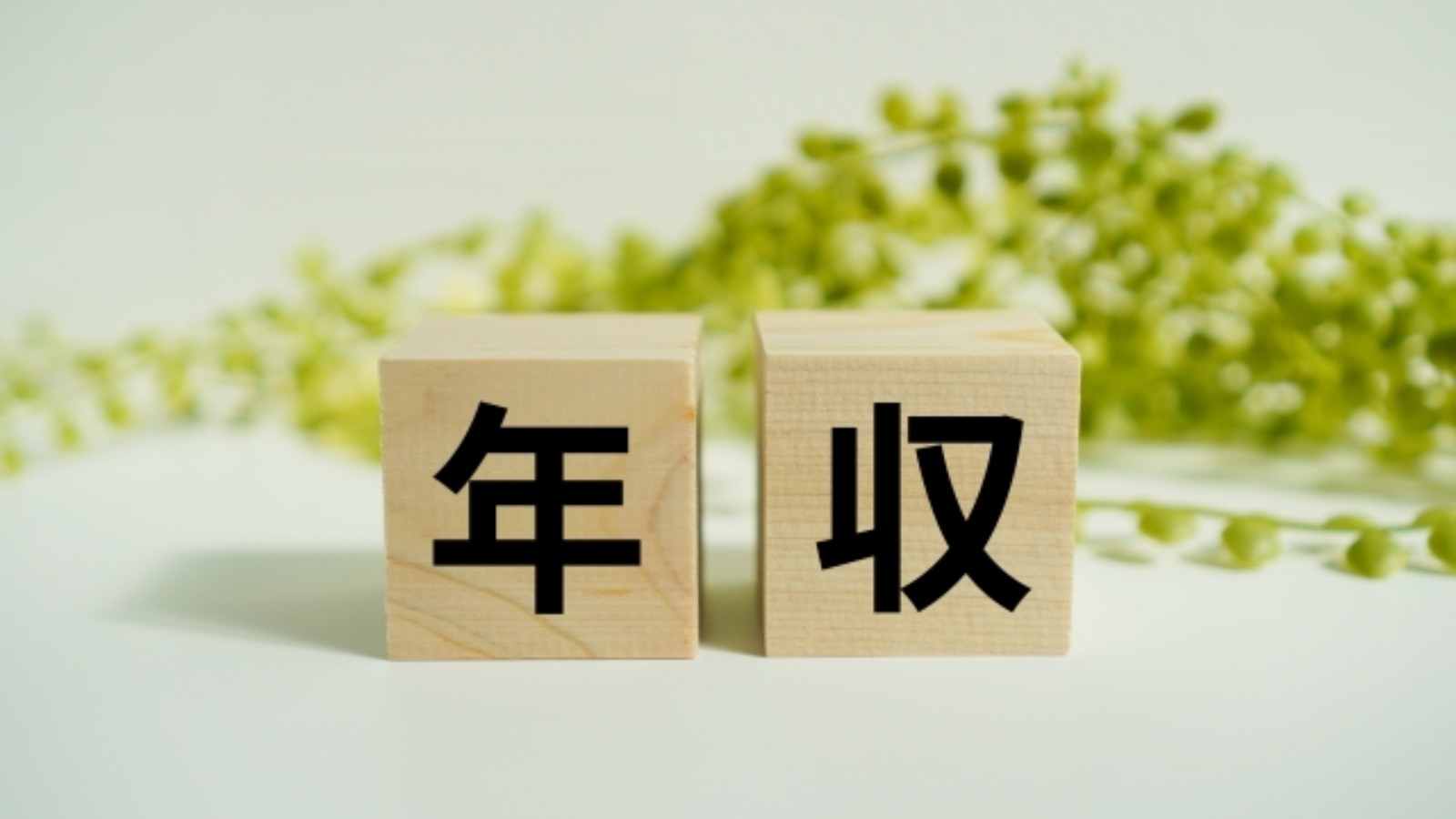 年収とは:生活設計とキャリアを支える経済指標の全貌